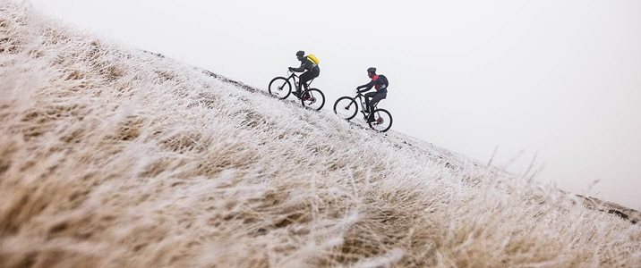 Bikester